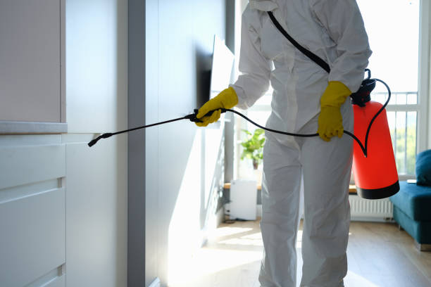 Trusted Eatonton, GA Mold Remediation Experts